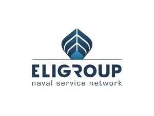 Eligroup service provider company